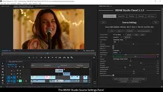 BRAW Studio V2 : The Premiere Pro Source Settings Panel