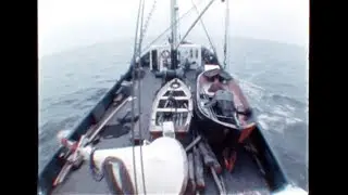 Убежать из Арктики