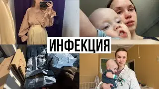 Опять Инфекция! Так Выглядит ж🍑па