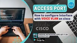 How to Configure Access Port with Voice VLAN on Cisco Devices | Network Handbook