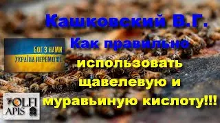 #Кашковский