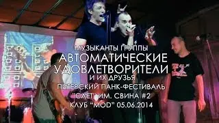 музыканты АУ и друзья - 2 - Питерский Панк-Фестиваль 