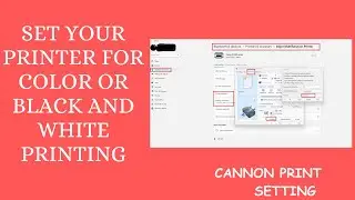 Set Your Printer for Color or Black and White Printing