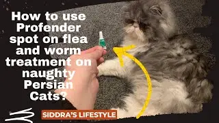 Profender: Flea & Worm Treatment for Cats 