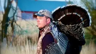 Turkey Hunting Windy Days - Spring Chronicles