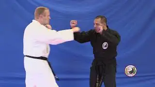 Kempo Karate -Driving Chops Kempo