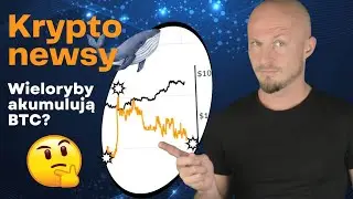 Kryptowaluty wiadomości! Czy wieloryby akumulują Bitcoina?