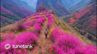 Breathtaking Chinese Epic Music // Royalty Free No Copyright