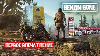 Days Gone,обзор и первые мысли, Playstation смогла?