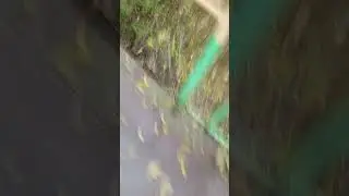 выживание с 