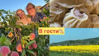 4️⃣1️⃣5️⃣ #переезднаюг #юг В гости, на любимые БУЗЫ🥟 Жара +40🏡