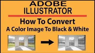 Adobe Illustrator: How To convert A Color Image To Black and White