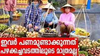 Sancharam | By Santhosh George Kulangara | Vietnam 04 | Safari TV