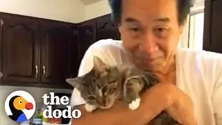 Dad Who Didnt Like Cats Falls In Love With His Daughters Kitten | The Dodo