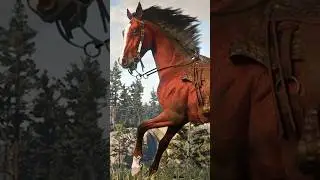5 SECRET Arabian Horse's Location in RDR2 