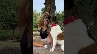 Fun training with your dog outdoors #dog #fannyvideo #fitness #girl