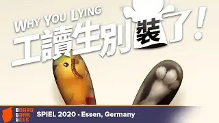 Why You Lying!  — game preview at SPIEL.digital 2020