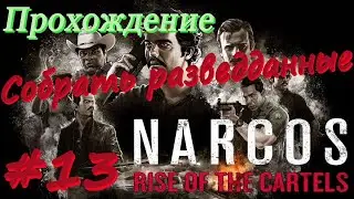Narcos Rise of the Cartels прохождение #13 УБН Убить цель, Собрать разведданные