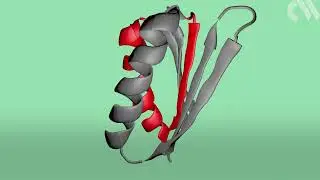 A breakthrough in protein design