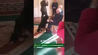 Президентский пёсик 😍 