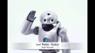 Levi Petite - Robot (Bashi Records)