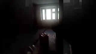 волк и неофобия - сделала перестановку в квартире + поставили новые двери с ключами, волку страшно