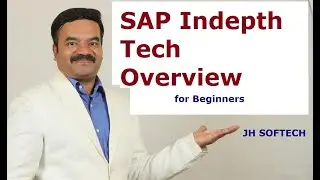ERP SAP In depth Overview & Technical Concepts