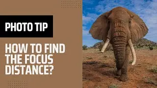 How find out the Focus Distance of pictures?