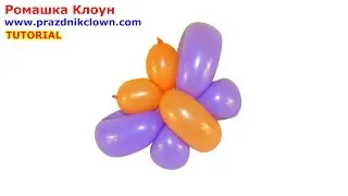 TWISTING BALLOON BUTTERFLY their own hands