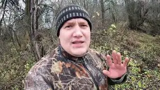 Электрики нам не верят, последние яблони и вымирающий кедр