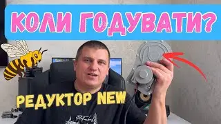 Новий Редуктор✅ Коли Годувати Бджіл ? 🐝