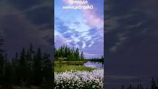 #андрейординарцев #природапрекрасна #природароссии  Природа ненецкого АО.