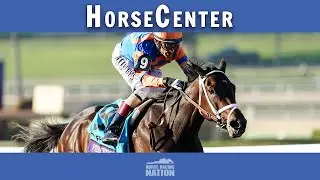 Breeders' Cup 2024 Top Contenders on HorseCenter