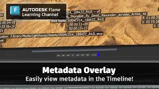 Metadata Overlay - Flame 2024
