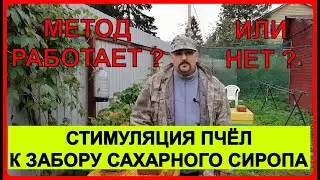 📕 Подкормка пчел осенью сахарным сиропом. Проверка забора сахарного сиропа из пакета 📕