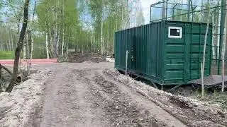 Что делают коты?