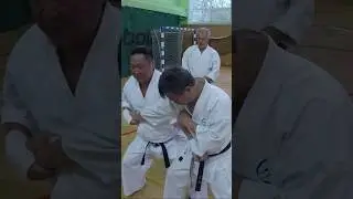 Конно дзюку каратэ #karate #martialarts #shorinryu