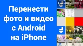 Как перенести фото и видео с Android на iPhone