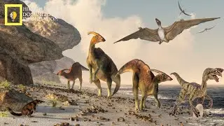 The End of the Cretaceous: The Great Extinction Mystery