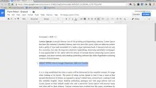 How to match formatting in a Google Document (Paint Roller)