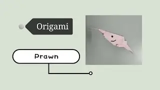 How to make paper prawn - easy origami crafts