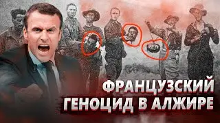 Французское наследие в Алжире