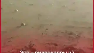 ПРОБЛЕМА ОПУСТЫНИВАНИЯ