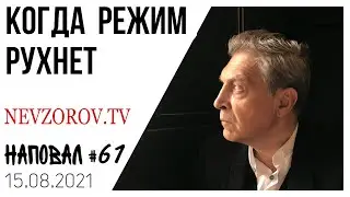 Невзоров. Шойгу, Караджич, Младич, геноцид, выборы, РПЦ и первое место в рейтинге идиотизма.