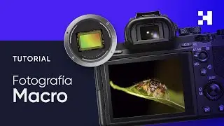 Fotografía Macro explicado por Arturo Bullard