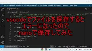 vscodeでファイルを保存するとエラーになったのでnanoで保存してみた
