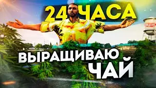 С НУЛЯ до AMG PROJECT ONE #20 / 24 ЧАСА ВЫРАЩИВАЮ ЧАЙ на  / ГТА 5 РП МАДЖЕСТИК / GTA 5 RP MAJESTIC