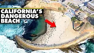 California's Most Controversial Beach Explained | The Children's Pool