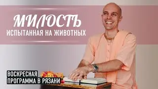 2024-06-23 — Милость, испытанная на животных воскресная программа в Рязани