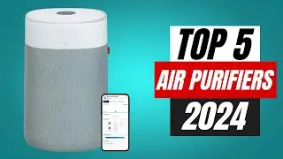 BEST Air Purifiers in 2024 : Top 5 for Everyone